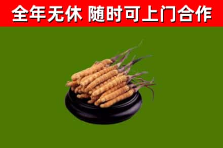 青铜峡市烟酒回收冬虫夏草.jpg